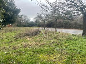 Terrain Bretignolles Sur Mer 1367 m2