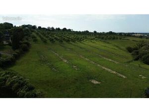 Terrain 419 m² Cambremer