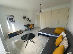 Belfort centre ville spacieux et lumineux f1 meuble