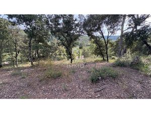 Terrain constructinle à Flassans.