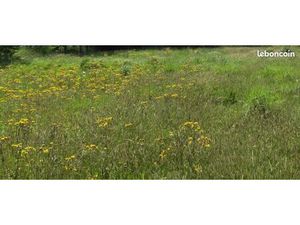 Terrain 1145 m² Guipavas