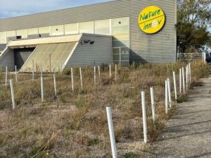 Local de 250 m2 à louer