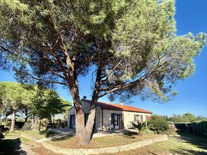 Villa avec grand terrain