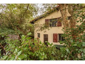 RARE à Seignosse le Penon