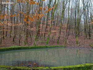 Location parcelle forestière 7 hectares