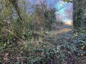 Vente Terrain à Cherbourg-en-Cotentin (50100) : à vendre / 494m² Cherbourg-en-Cotentin