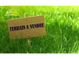 TERRAIN CONSTRUCTIBLE Mandres-les-roses