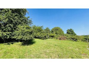 Terrain à bâtir – libre d'architecte .