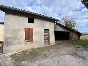 Sophie Pesque Noirot