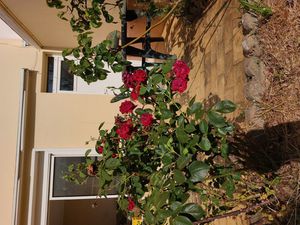 Vente Maison de 3 chambres