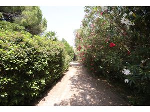 NOUVEAU  IDÉAL POUR CHEVAUX  PARC 1 1 HA  SUPERBE MAS PLEIN PIED  DE 250 M2   PISCINE 12/6