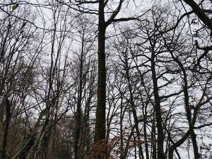 Vente Terrain à La Chapelotte (18250) : à vendre / 29105m² La Chapelotte