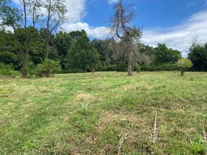 Terrain à bâtir à Baron (33750)