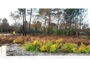 Terrain à bâtir à Saint-Magne (33125)