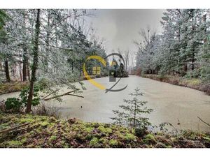 Vente commerce 10477 m² Romorantin-Lanthenay (41200)