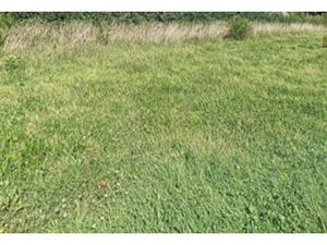 Vente Terrain à Plomelin (29700) : à vendre / Plomelin