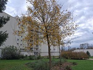 Vente appartement 5 pièces 85 m² Nevers (58000)