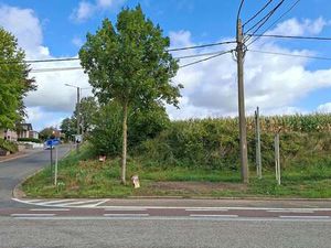 Terrain à vendre à Riemst € 149.000 (LJDJF) - Realmart | Zimmo
