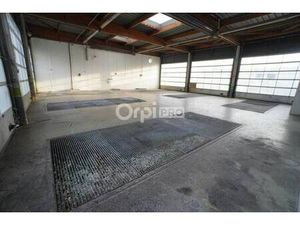 Local d'activités à louer