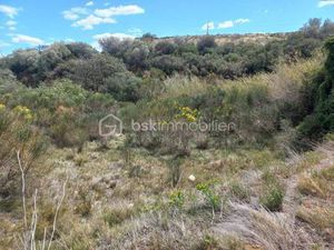 Propriété de loisirs à vendre