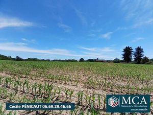 Terrain constructible viabilisé à vendre