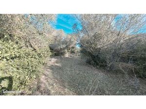 Location terrain pour chevaux ou loisirs