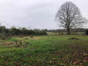 Terrain constructible viabilisé à vendre