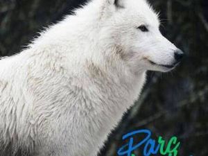 CABINET MICHEL SIMOND PERPIGNAN