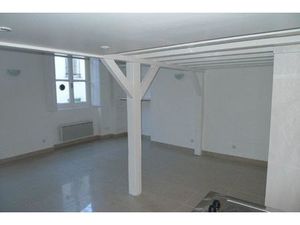 Location appartement 1 pièce 47 m² à Lyon 1 (69001)