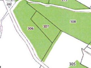 Parcelle de vigne AOC Moulin à Vent lieu dit Rochenoire