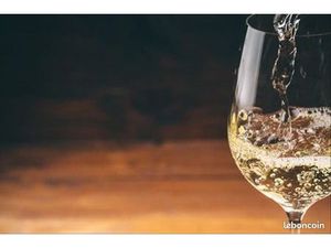 Local commercial 56 m²