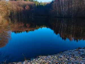 Etang de pêche avec terrain