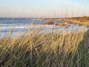 Vente Terrain à Plouguerneau (29880) : à vendre / Plouguerneau