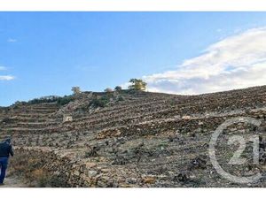 Terrain à vendre - 10800 m2 - Collioure - 66 - LANGUEDOC-ROUSSILLON