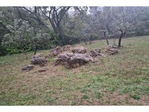 Vente terrain 800 m² Flayosc (83780)