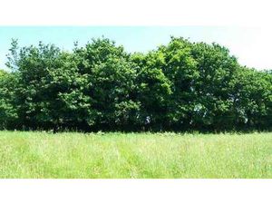 Vente Terrain à Pléneuf-Val-André (22370) : à vendre / Pléneuf-Val-André