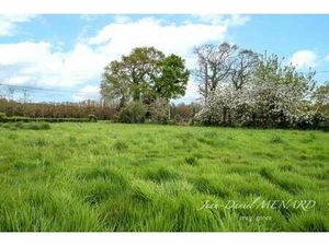 Vente Terrain à Pluduno (22130) : à vendre / 599m² Pluduno