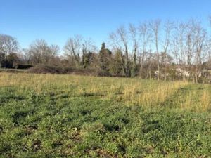 Terrain 1 000 m² Branne