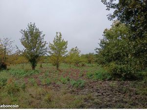 Terrain 400 m² Parentis En Born