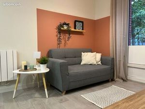 COURS FAURIEL - 300m de l'ISTP - IRUP (EM) et de l’Ecole des Mines