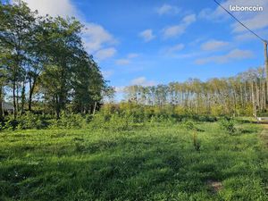 Terrain 487 m² Castres Gironde