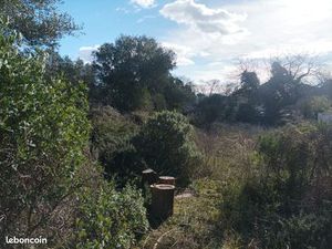 Terrain constructible