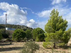 Terrain agricole de 12 234 m² à Fitou