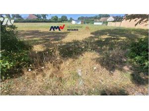 Véronique de Larminat