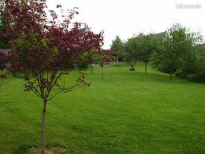 Terrain 209 m² Chamarande