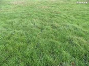 Terrain 355 m² Saint Pierre Les Nemours