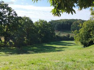 Terrain de loisirs avec pêcherie