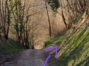 Location terrain agricole