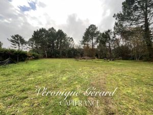 Terrain à vendre SAINT SAVIN 3766m2 83 000€