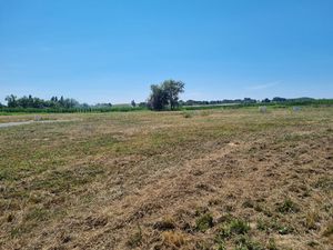 Terrain vue campagne entre Bidache et Saint Palais